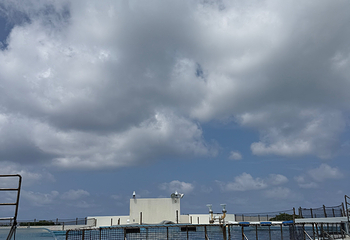 冲绳美丽海水族馆第 183 张图片