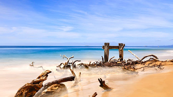 Historical Cattle Quarantine Jetty