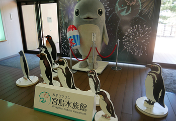 宫岛水族馆第 12 张图片