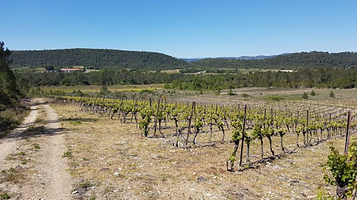 Domaine de Coursac