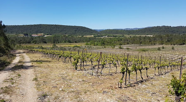 Domaine de Coursac