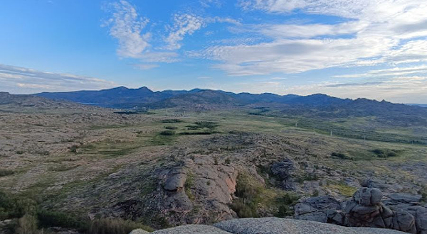 スカラ・ナイザタス