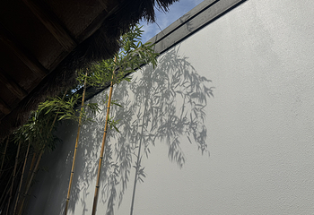 苏州博物馆第 263 张图片