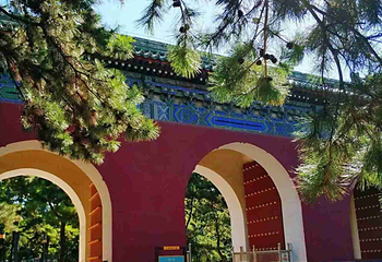 日坛公园第 69 张图片