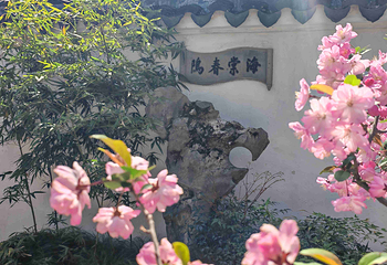 拙政园第 78 张图片