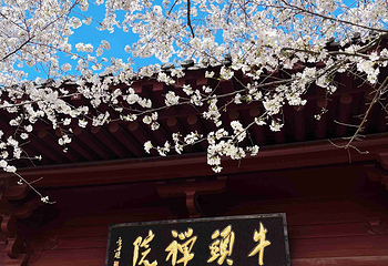 牛首山文化旅游区第 430 张图片