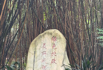 成都大熊猫繁育研究基地第 309 张图片