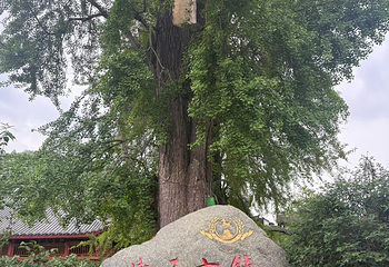 街子古镇第 42 张图片