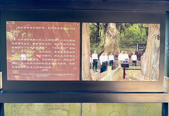 翠云廊第 40 张图片
