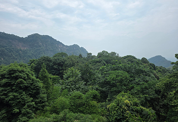 青城山第 141 张图片