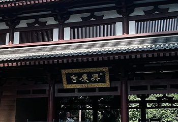 兴庆宫公园第 150 张图片