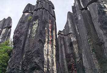 石林风景区第 247 张图片