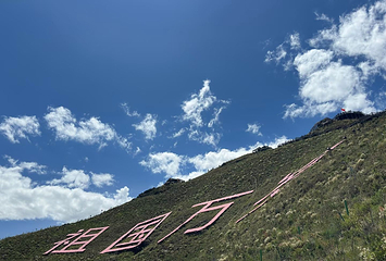南山公园第 11 张图片
