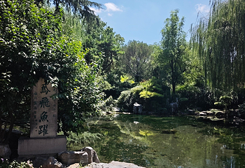 趵突泉景区第 153 张图片