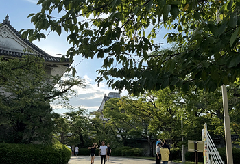 大阪城公园第 192 张图片