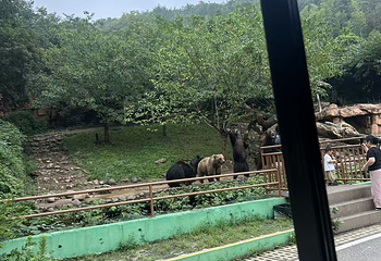龙之梦动物世界第 103 张图片