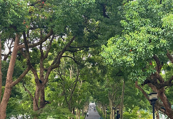西湖风景名胜区第 410 张图片