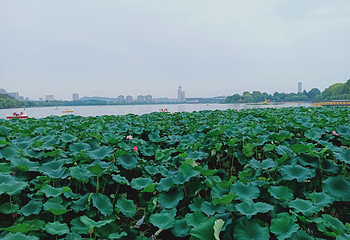 玄武湖景区第 88 张图片