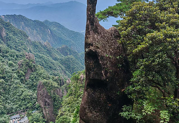 三清山风景区第 227 张图片