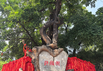 八大处公园第 72 张图片