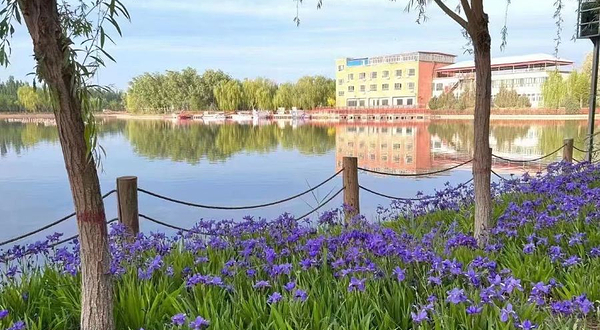 伽师县森林旅游生态园