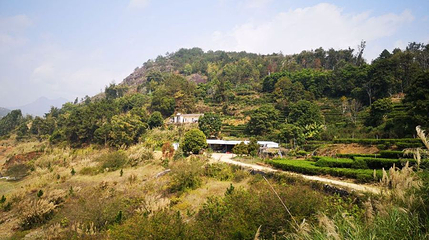 凤凰生态旅游区第 1 张图片