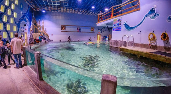 Houston Interactive Aquarium & Animal Preserve