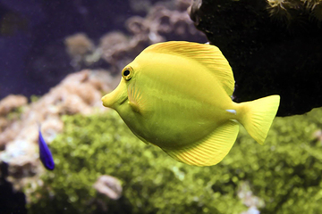 水族馆－水上动物园第 21 张图片