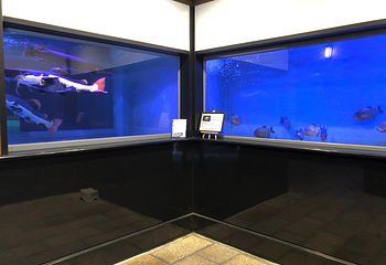 白池地狱第 18 张图片