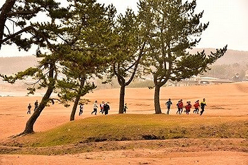 种差海岸第 8 张图片