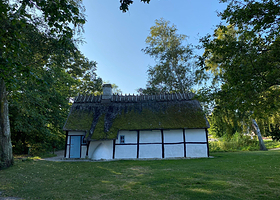 Stevns Klint Experience