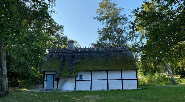 Stevns Klint Experience