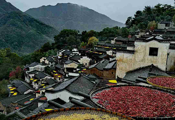 婺源篁岭景区第 385 张图片