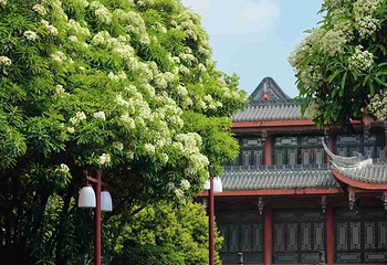 塔子山公园第 12 张图片