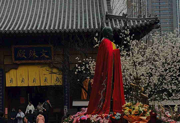 大兴善寺第 64 张图片