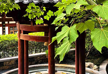 华清御汤·宝积池温泉第 36 张图片