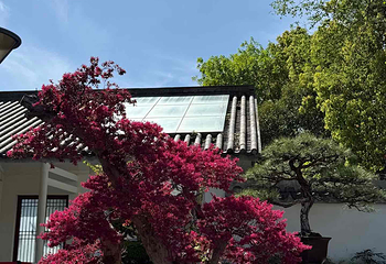 上海植物园第 32 张图片