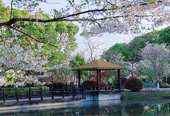 世纪公园第 25 张图片