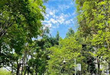浣花溪公园第 90 张图片