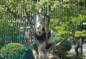 大连森林动物园第 95 张图片
