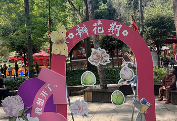 丹景山第 23 张图片