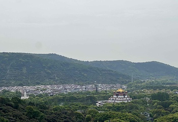 灵山大佛第 234 张图片