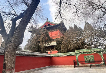 隆兴寺第 76 张图片