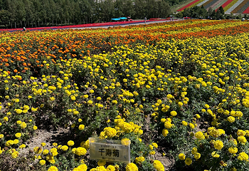 富田农场第 20 张图片