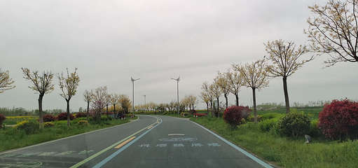 丹顶鹤湿地生态旅游区第 44 张图片