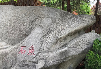 西安世博园第 141 张图片