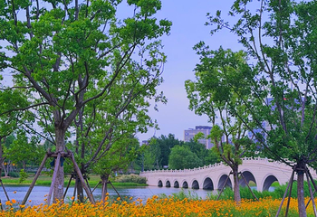 世博文化公园第 125 张图片
