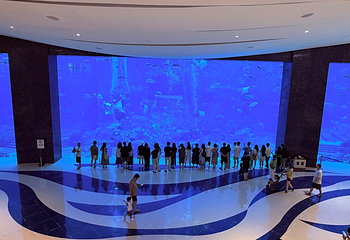 三亚亚特兰蒂斯失落的空间水族馆第 187 张图片