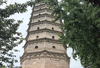 法门文化景区第 125 张图片