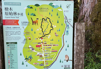 太平山森林游乐区第 19 张图片